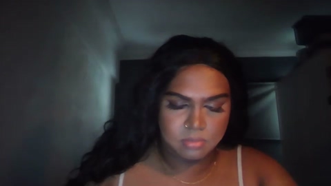 titsshemale  09-06-2022
